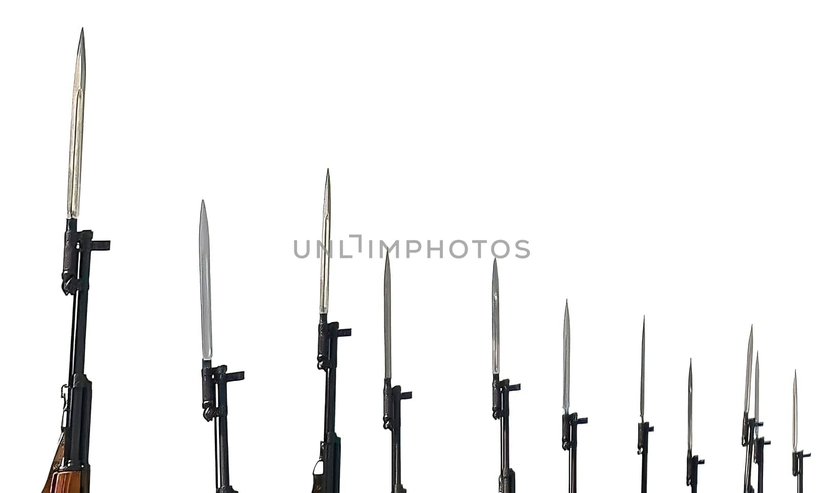 Bayonets on military rifles on a white background. Isolated photo of honor guard rifles.