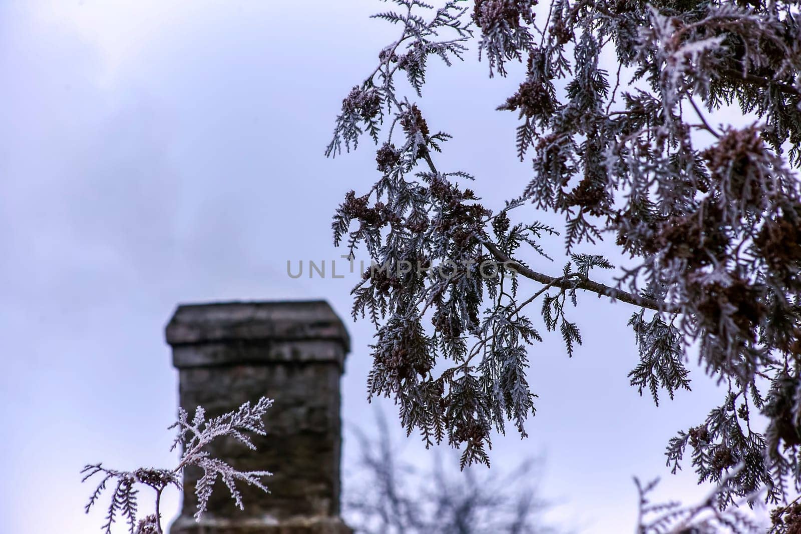 White smoke from the chimney of an old house during frost. Fireplace chimney on an iron roof.