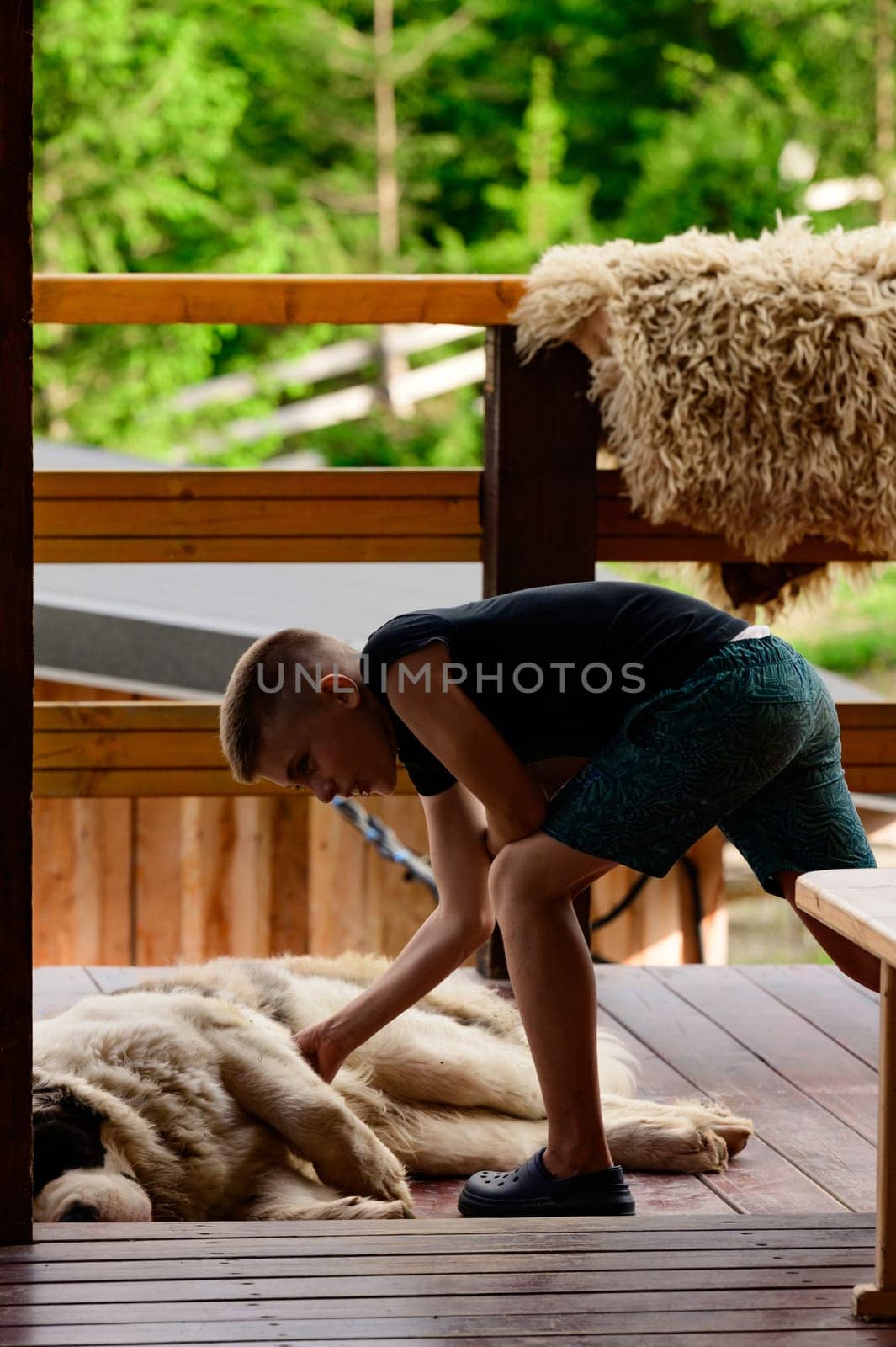 A boy is stroking a Saint Bernard lying on a wooden outdoor terrace. by Niko_Cingaryuk