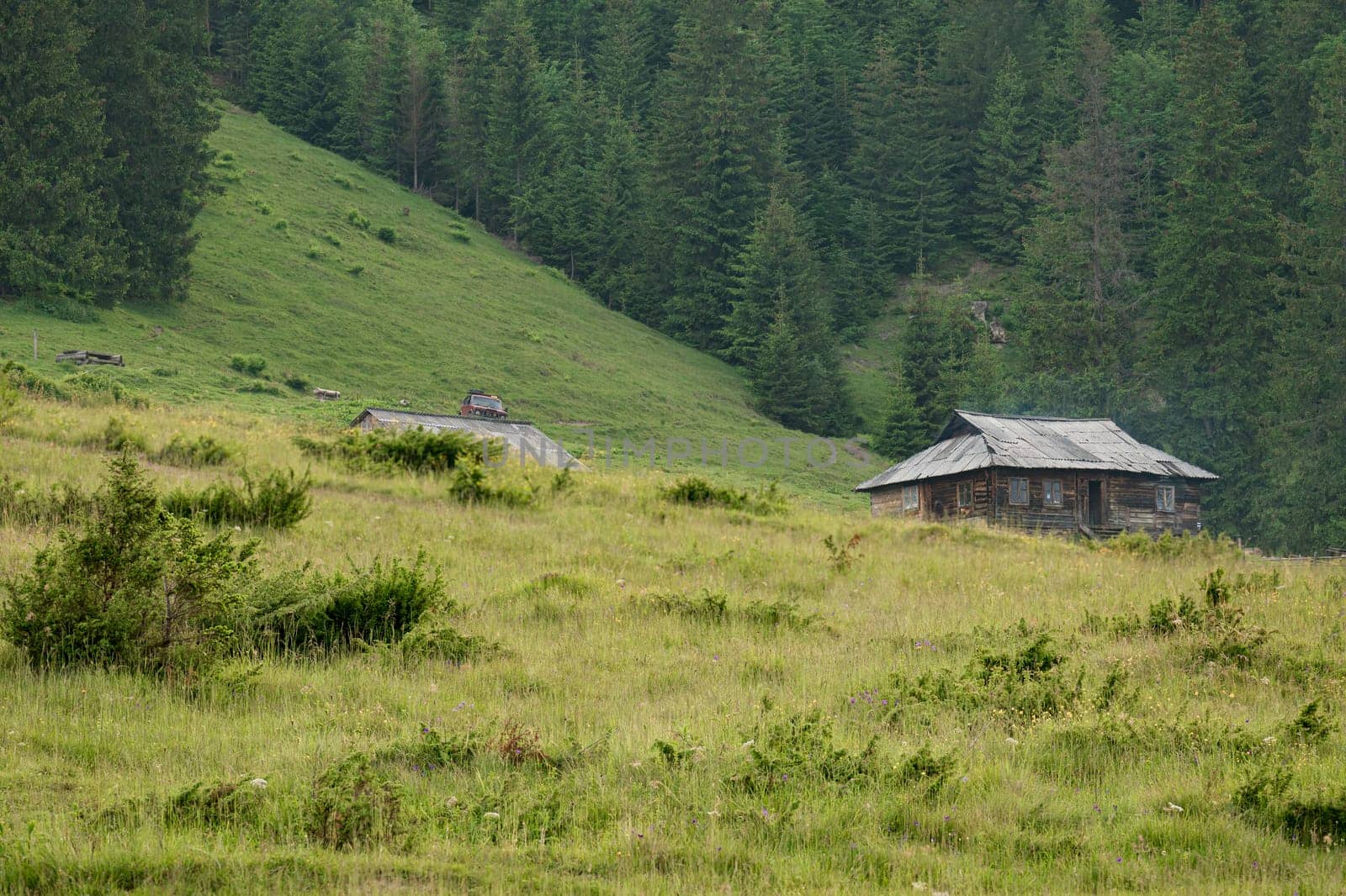 One holiday house in the Carpathian mountains. by Niko_Cingaryuk