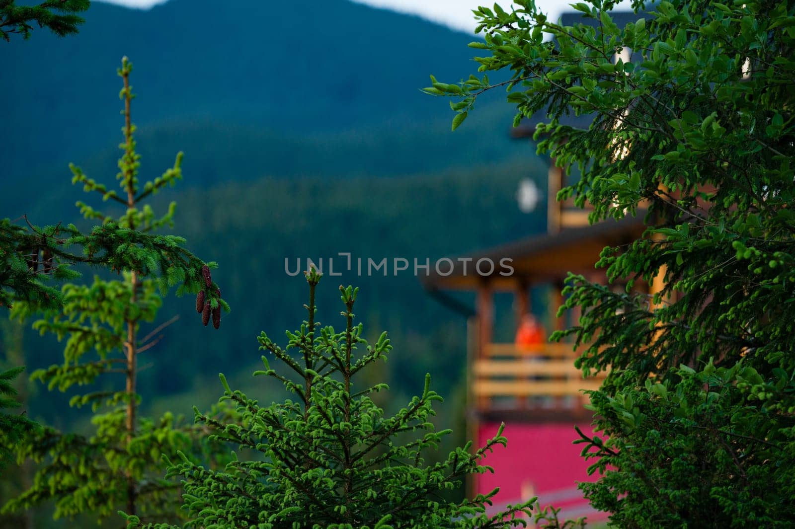 Blurred person silhouette in an orange jacket stands on the terrace of a wooden house against the background of mountains by Niko_Cingaryuk