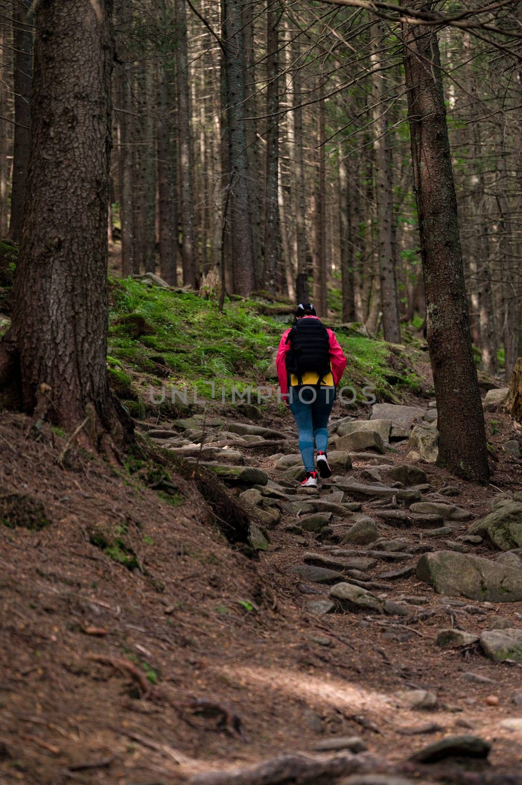 a girl in sportswear with a backpack on her shoulders and walks along a hiking trail in the forest. by Niko_Cingaryuk