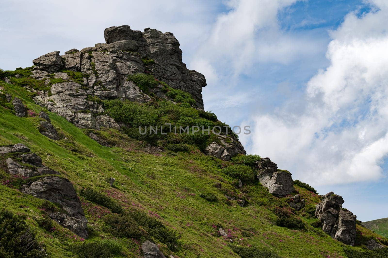 Mount Vukhaty Kamin in the Carpathians of Ukraine. by Niko_Cingaryuk