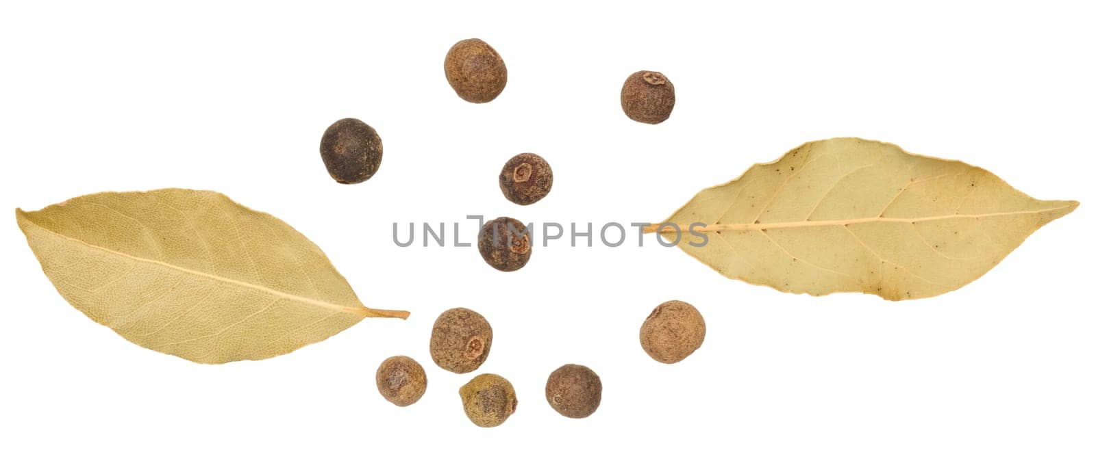 Bay leaf and allspice peas on isolated background, top view. Cooking spice