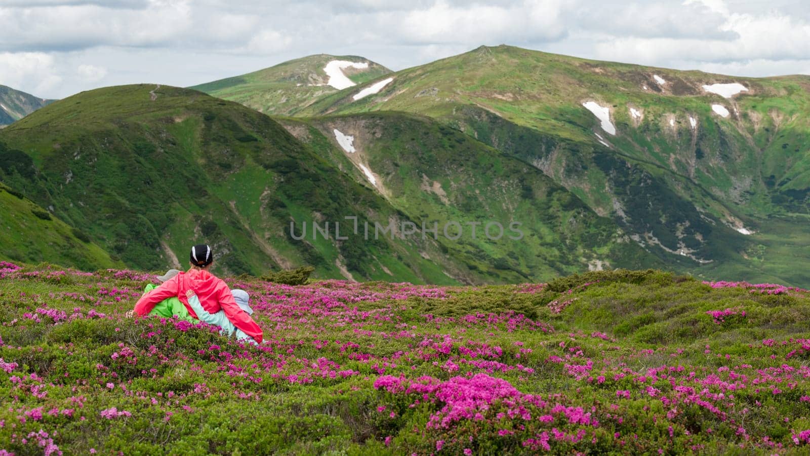 A mother with her son and daughter are walking among rhododendron bushes against the background of the majesty of the Carpathian Mountains, active summer vacation with children.