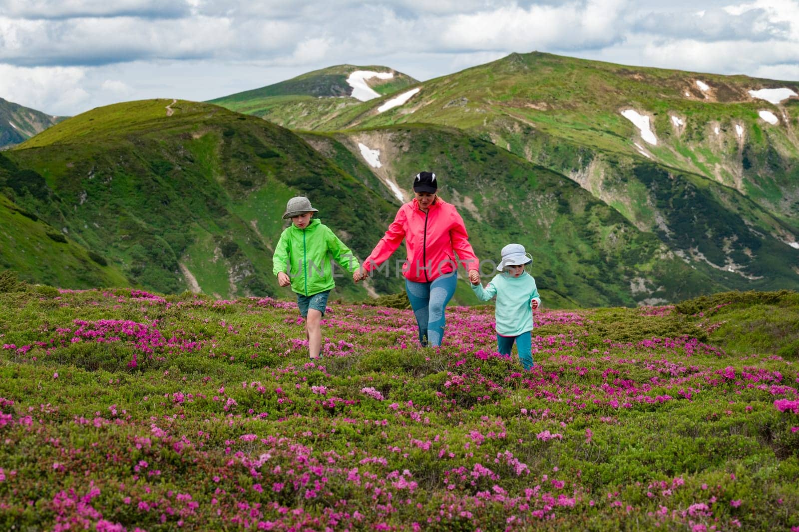 A mother with her son and daughter are walking among rhododendron bushes against the backdrop of the majesty of the Carpathian Mountains. by Niko_Cingaryuk