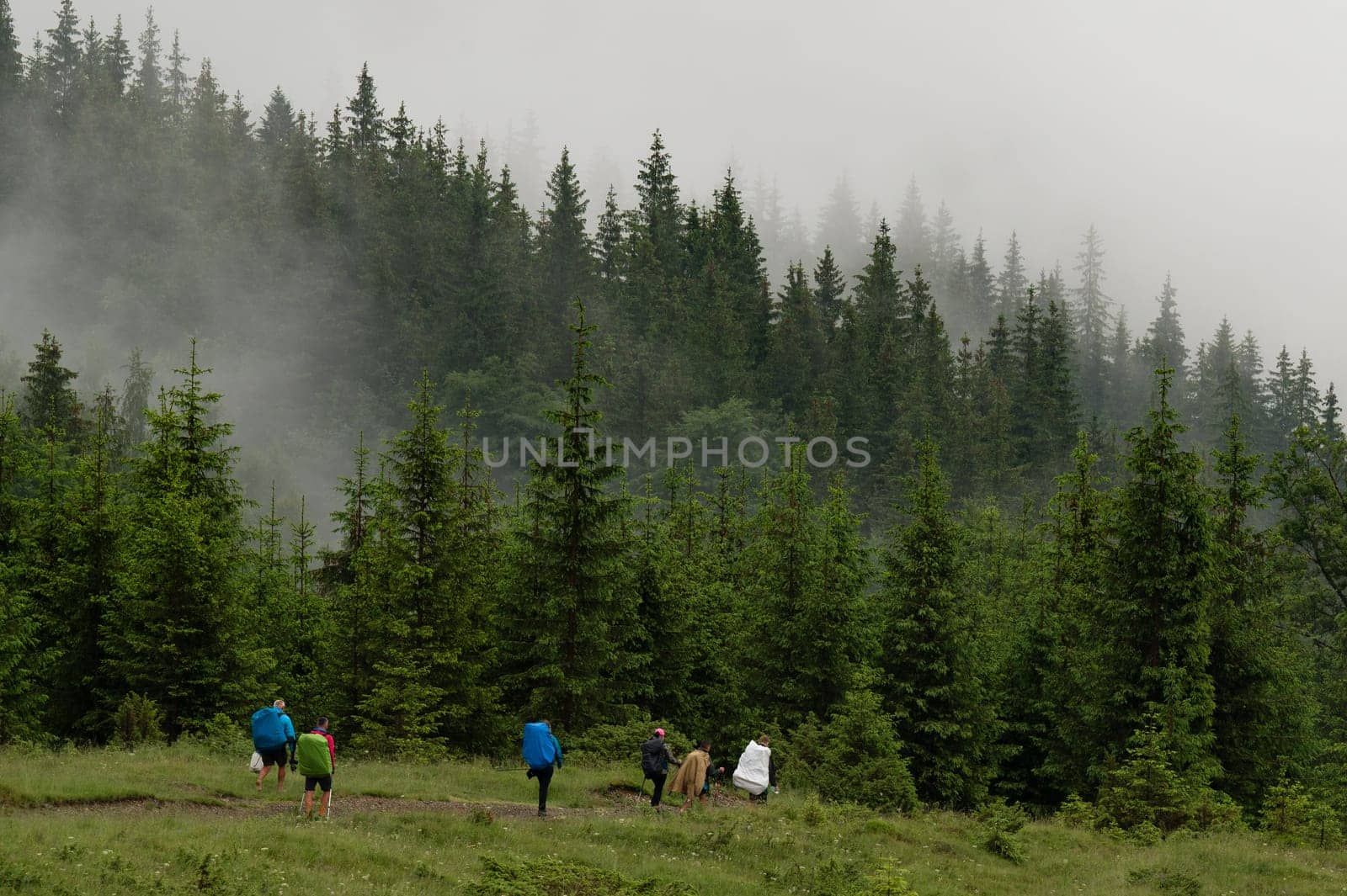 A tourist goes to the mountains in the rain and fog. by Niko_Cingaryuk
