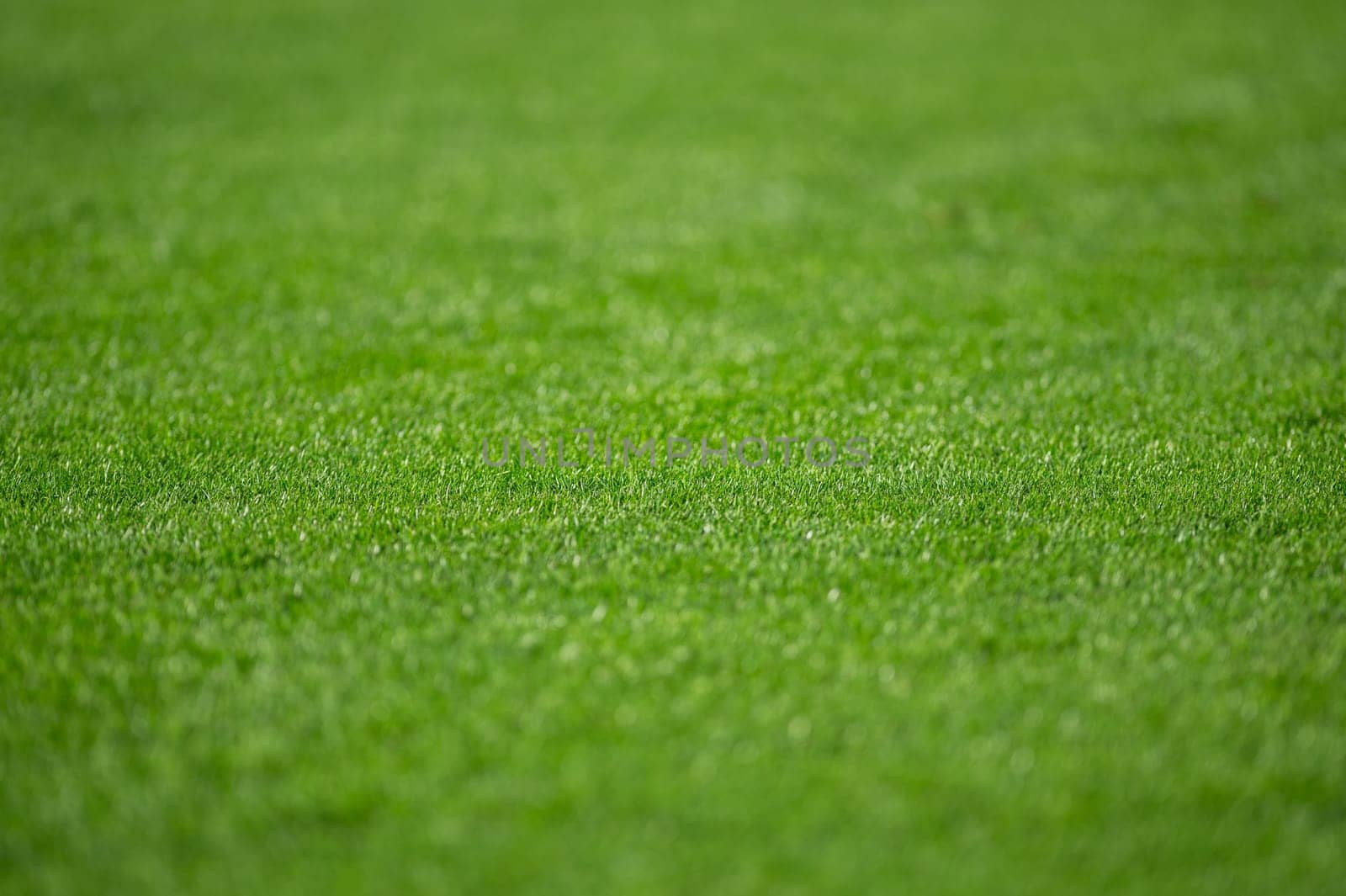 Natural grass of football field with blur by martinscphoto