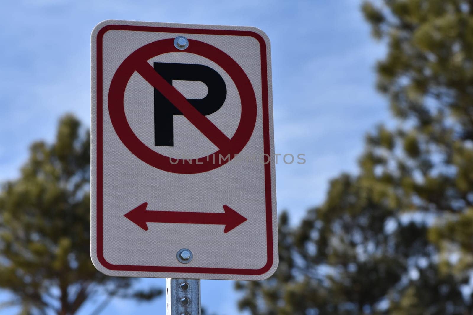 No Parking Sign with Arrows on Colorado Street. High quality photo