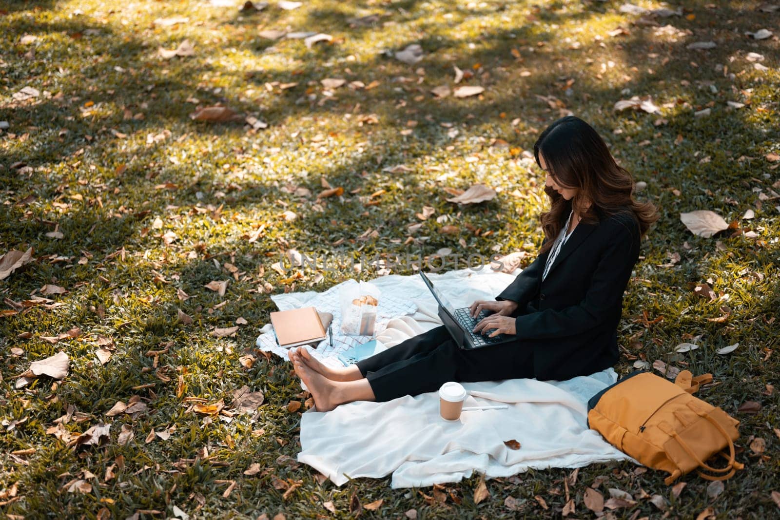 Young businesswoman working with laptop sitting on green grass in the autumn park.