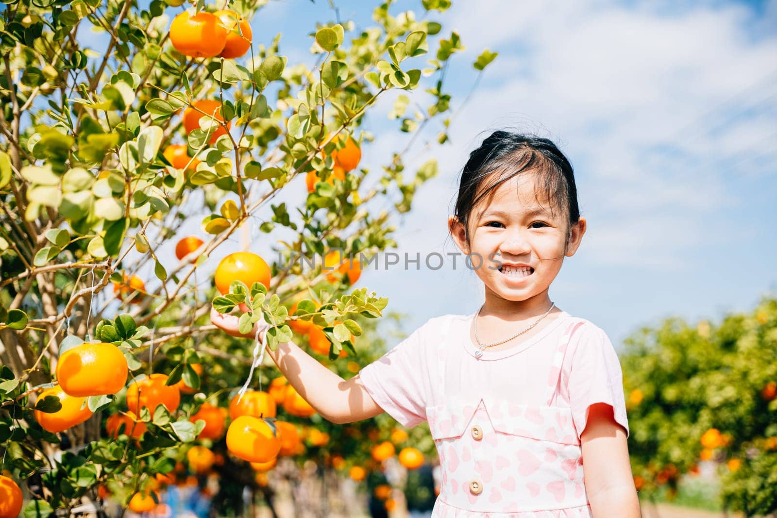 A cheerful child in Italy's sunny orange tree garden picks ripe oranges. Her joyful portrait captures the joy of fruit picking emphasizing the beauty of nature's bountiful harvest.