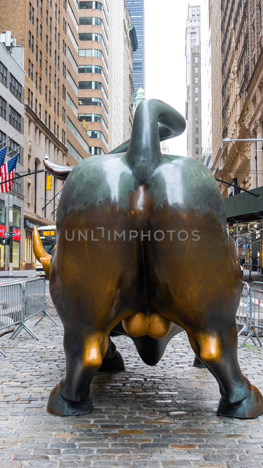 New York City, United States - September 19, 2022 The rear view of the Bull in Lower Manhattan