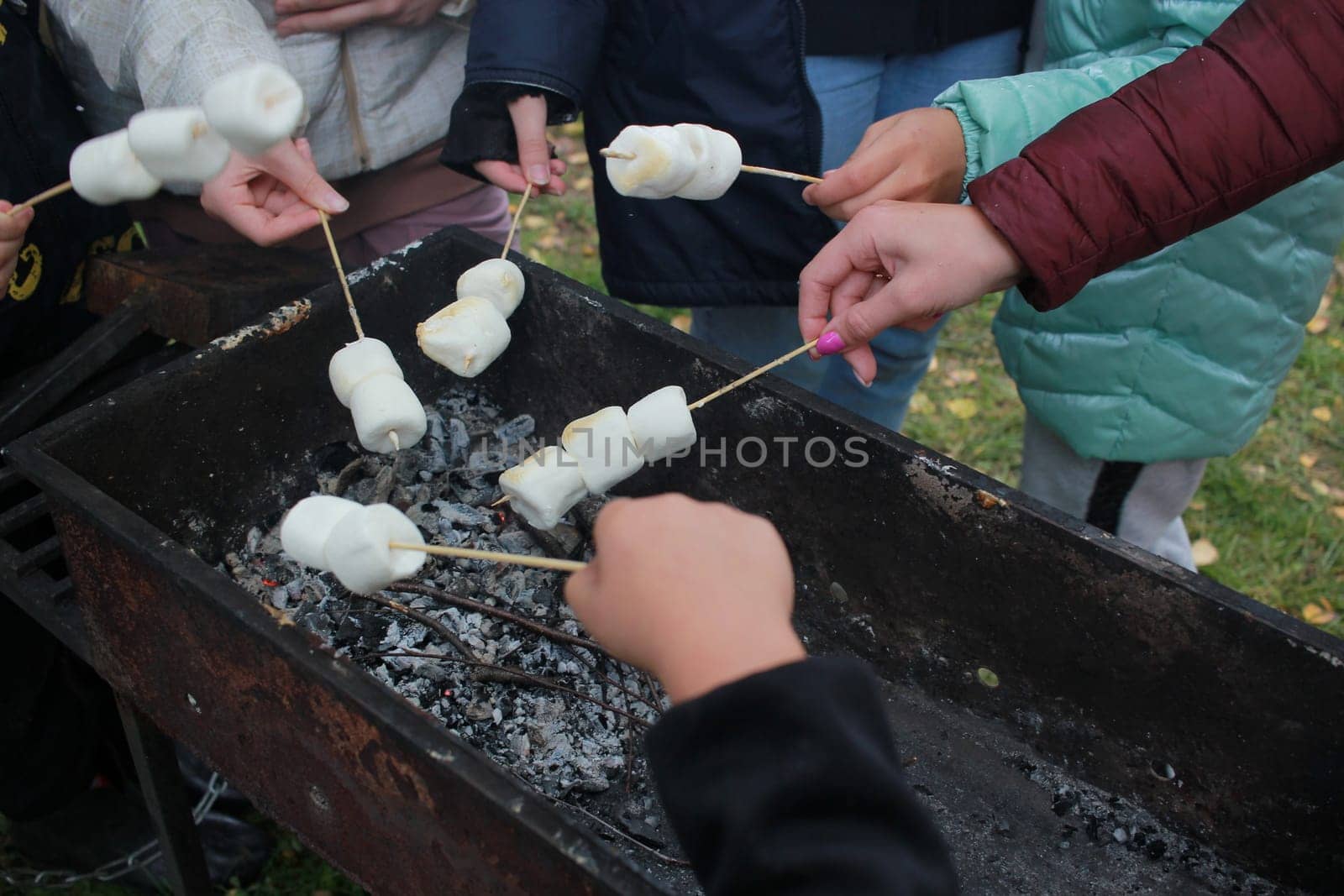 recreation. Women hands and marshmallows on skewers. by electrovenik