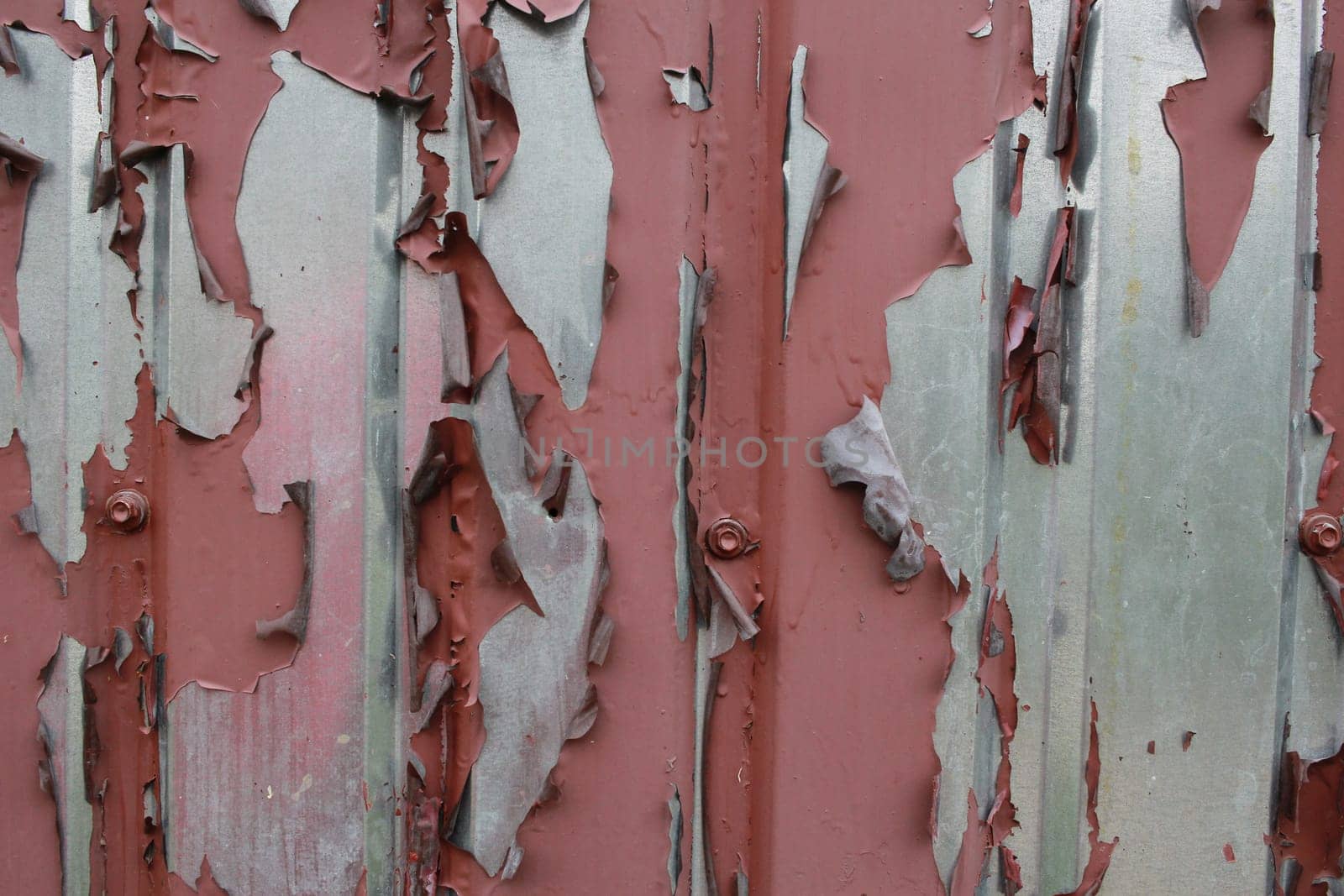 peeling paint of a painted brown corrugated board fence. by electrovenik
