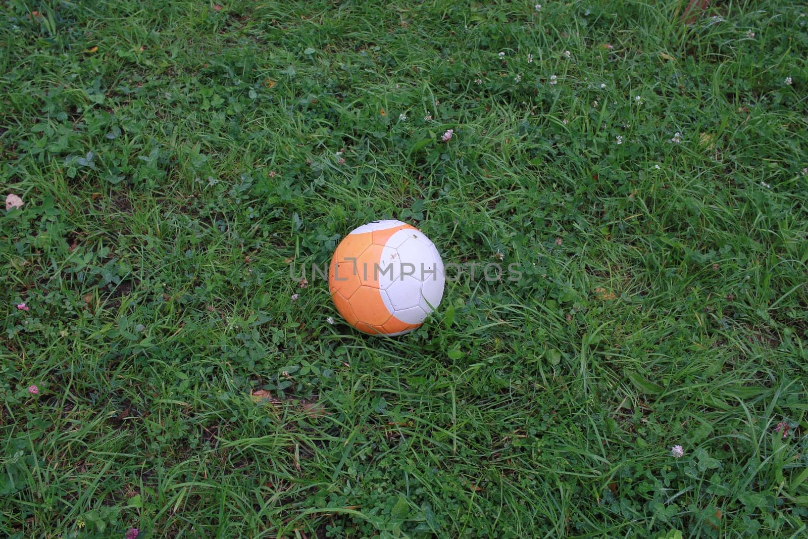 Photo of a white and orange small ball on a background of green grass. Outdoor games. Sports and health. Sports equipment.