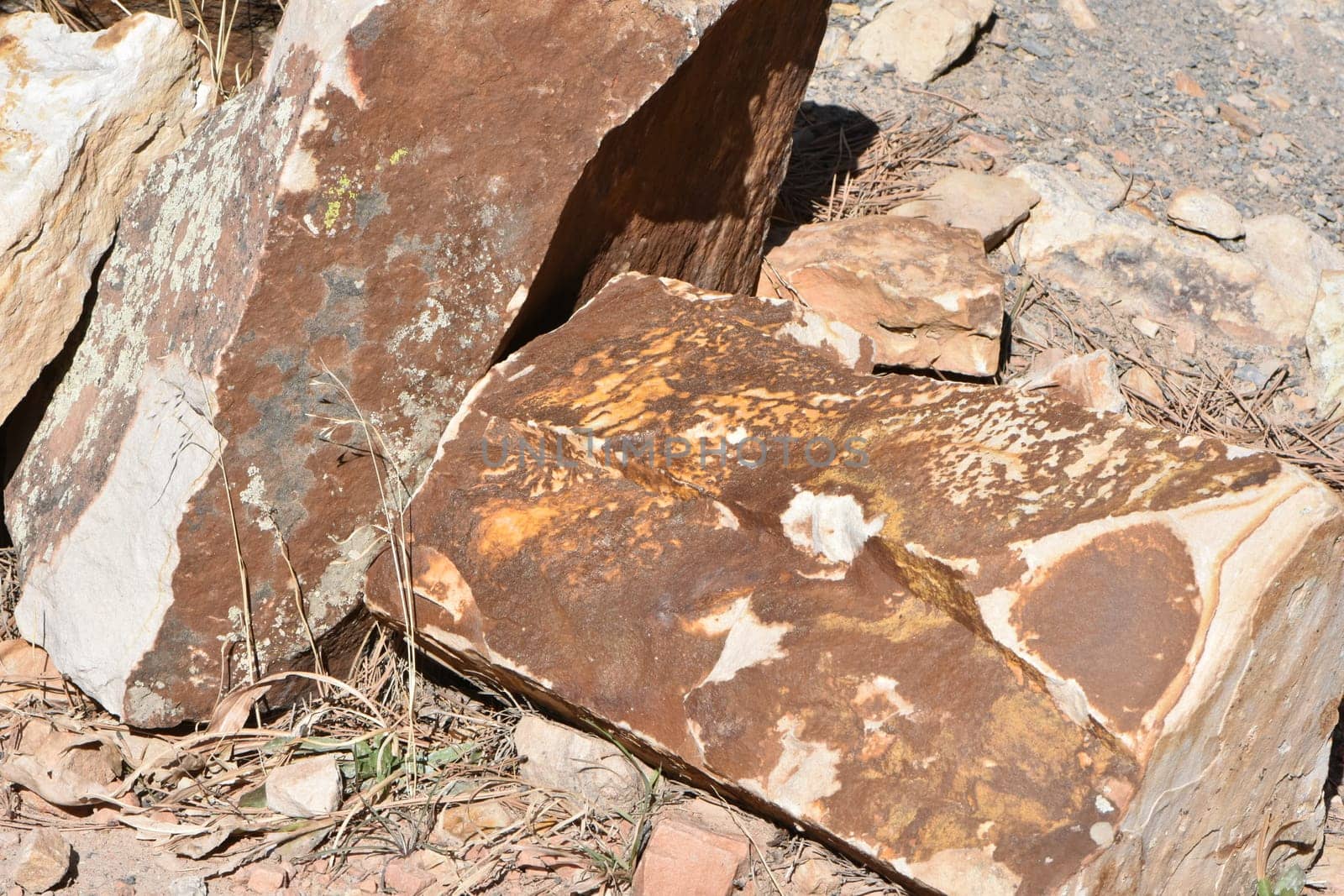 Weathered Rock Pieces near Boulder Colorado, Geology Photo. High quality photo