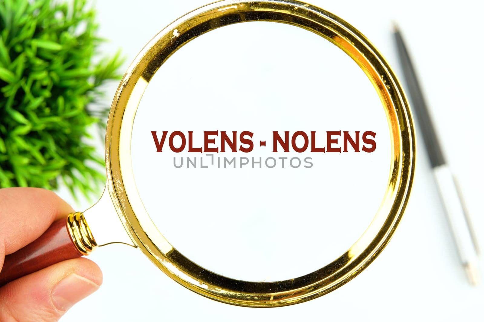 Willy - nilly latin expression volens-nolens (willing or unwilling) written through a magnifying glass on a white background