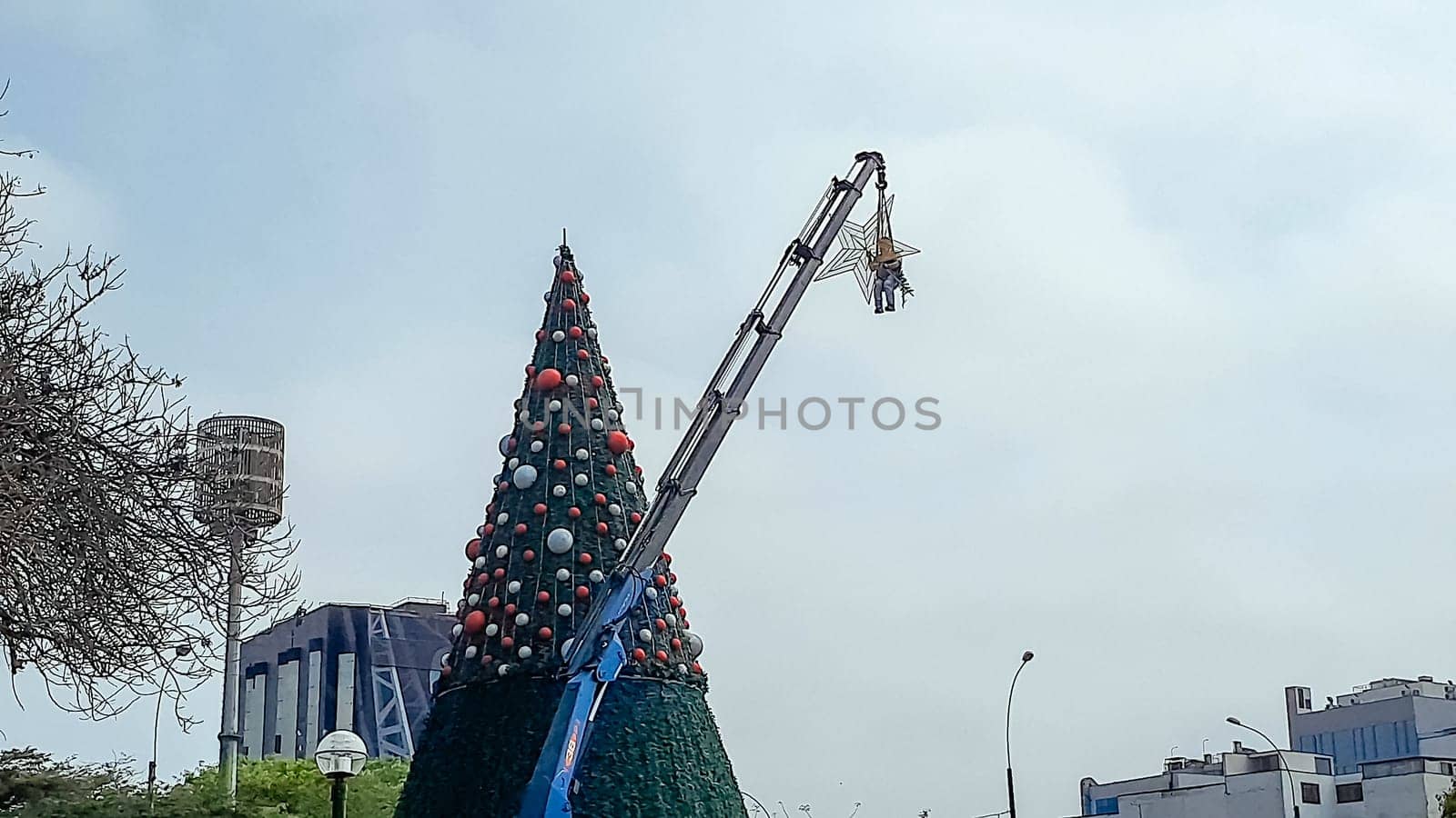 Man on crane decorating big Christmas tree in the city