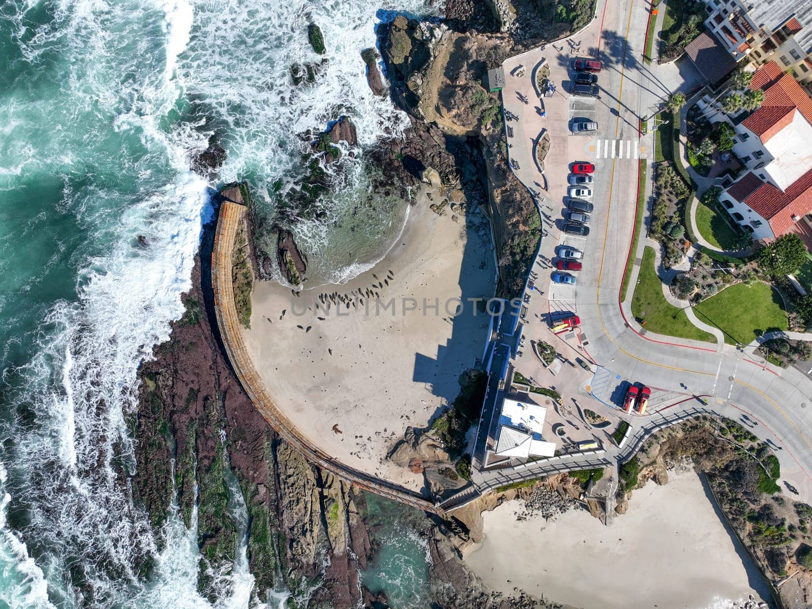 Aerial view of the La Jolla coastline, California, USA by Bonandbon