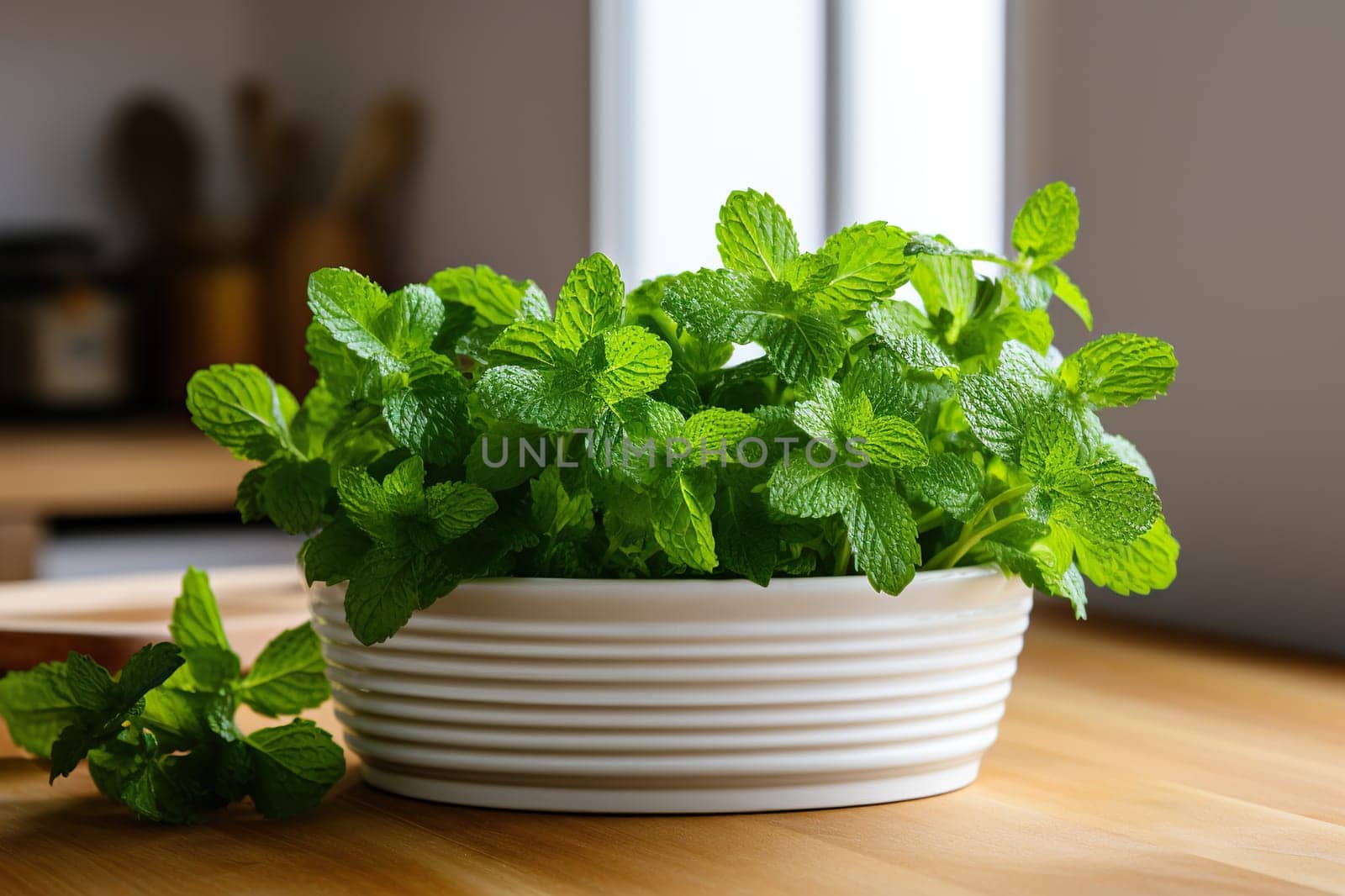 Fresh mint in a white pot in the kitchen.