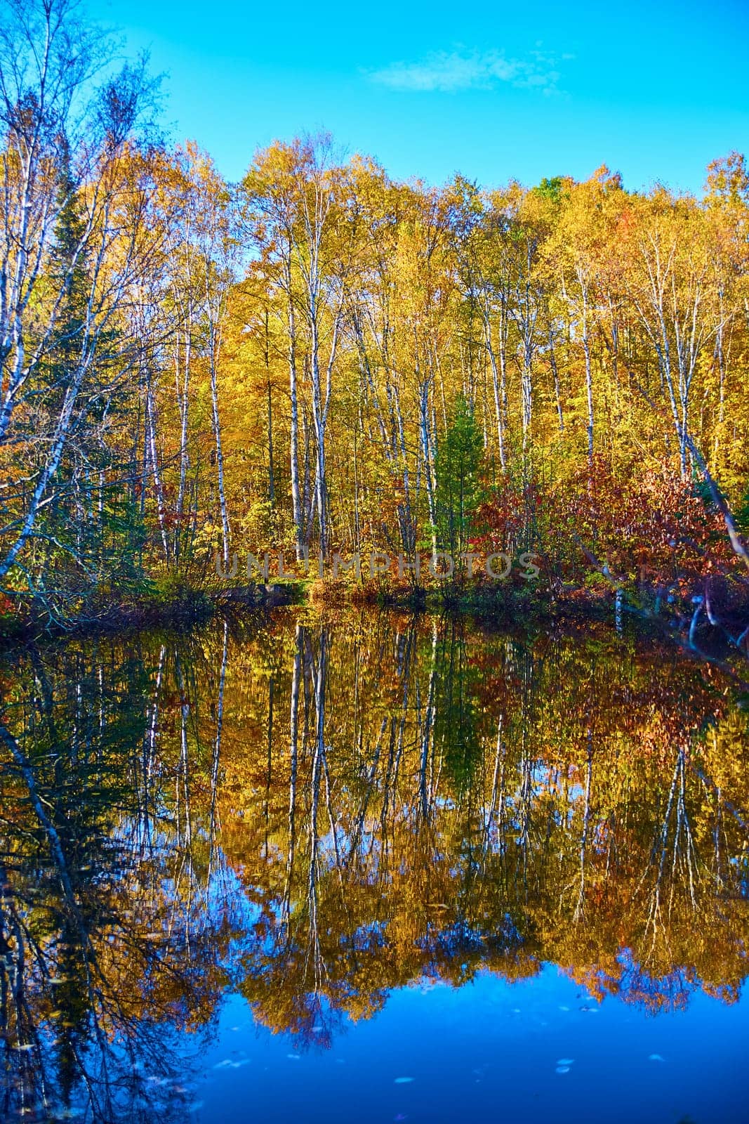 Vibrant Autumn Splendor in Michigan's Hungarian Falls, 2017 - Serene Reflection of Deciduous Forest on Calm Lake