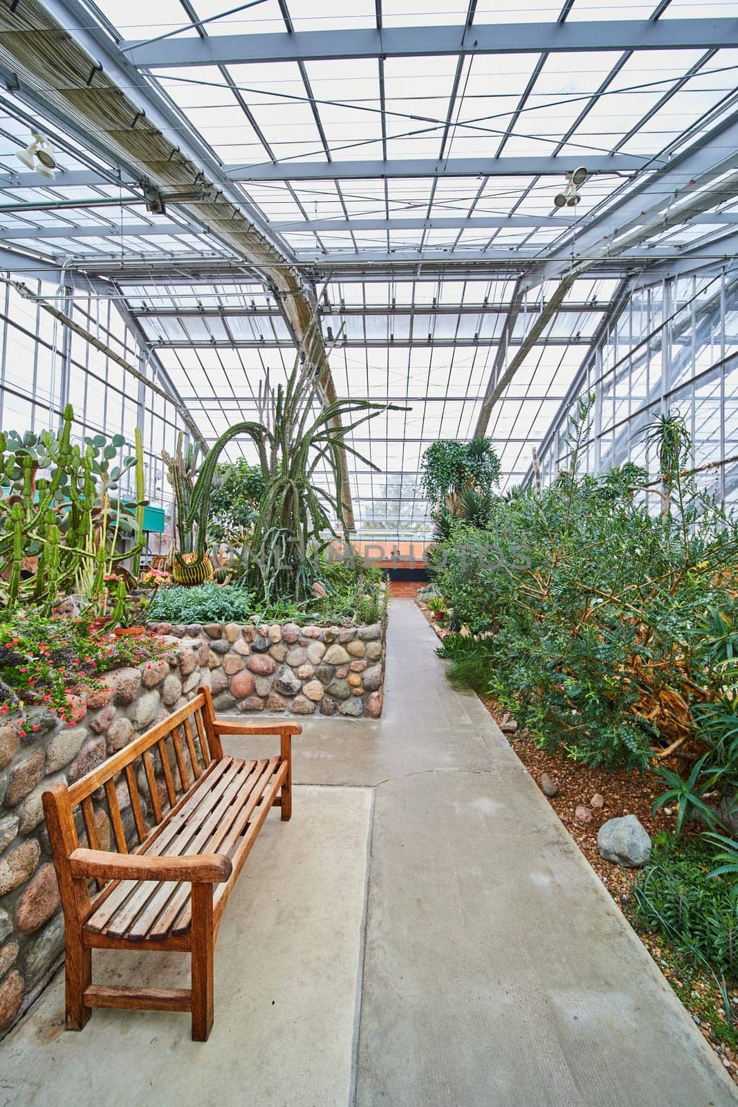 Tranquil Greenhouse Interior at Matthaei Botanical Gardens, Michigan, Showcasing a Variety of Cacti and Succulents