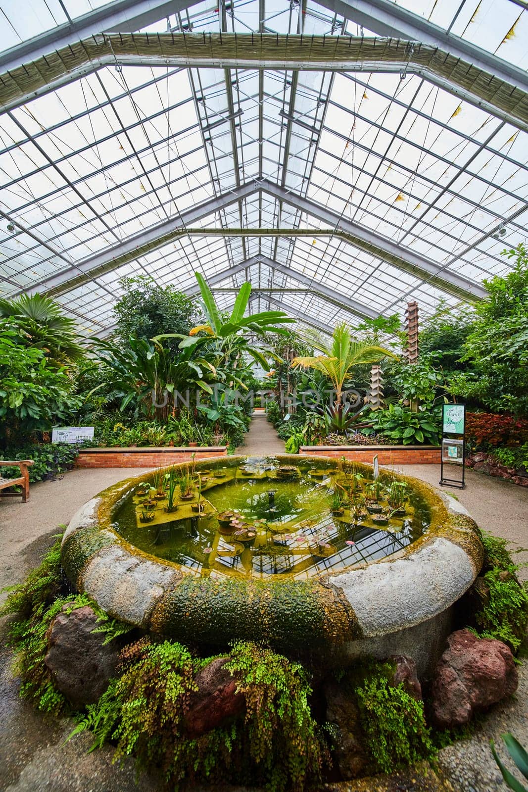 Lush Tropical Greenery in Matthaei Botanical Gardens, Michigan - Indoor Urban Oasis Under Glass Roof