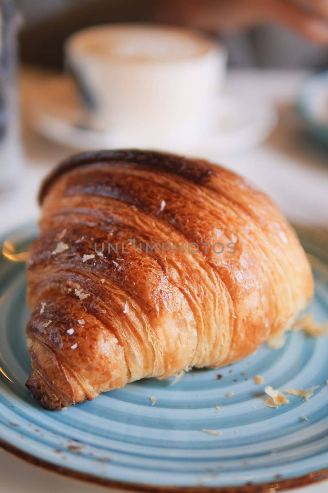 fresh baked croissant on plate with copy space . High quality photo