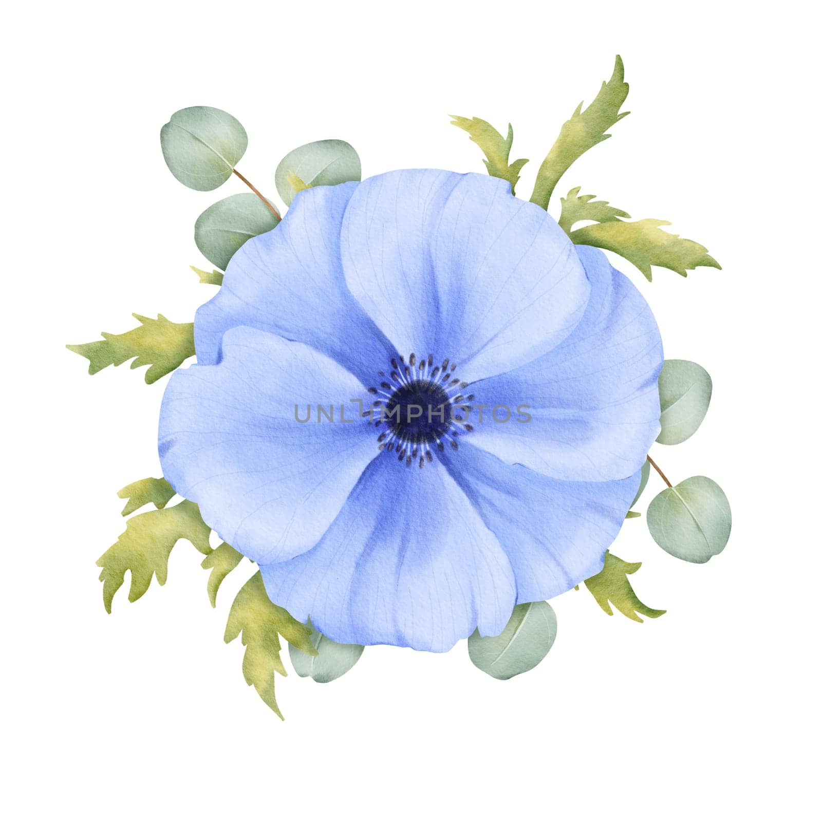 An blue anemone floral arrangement with fresh greenery and eucalyptus leaves. watercolor illustration for event decorations, party invitations, digital branding or product packaging.