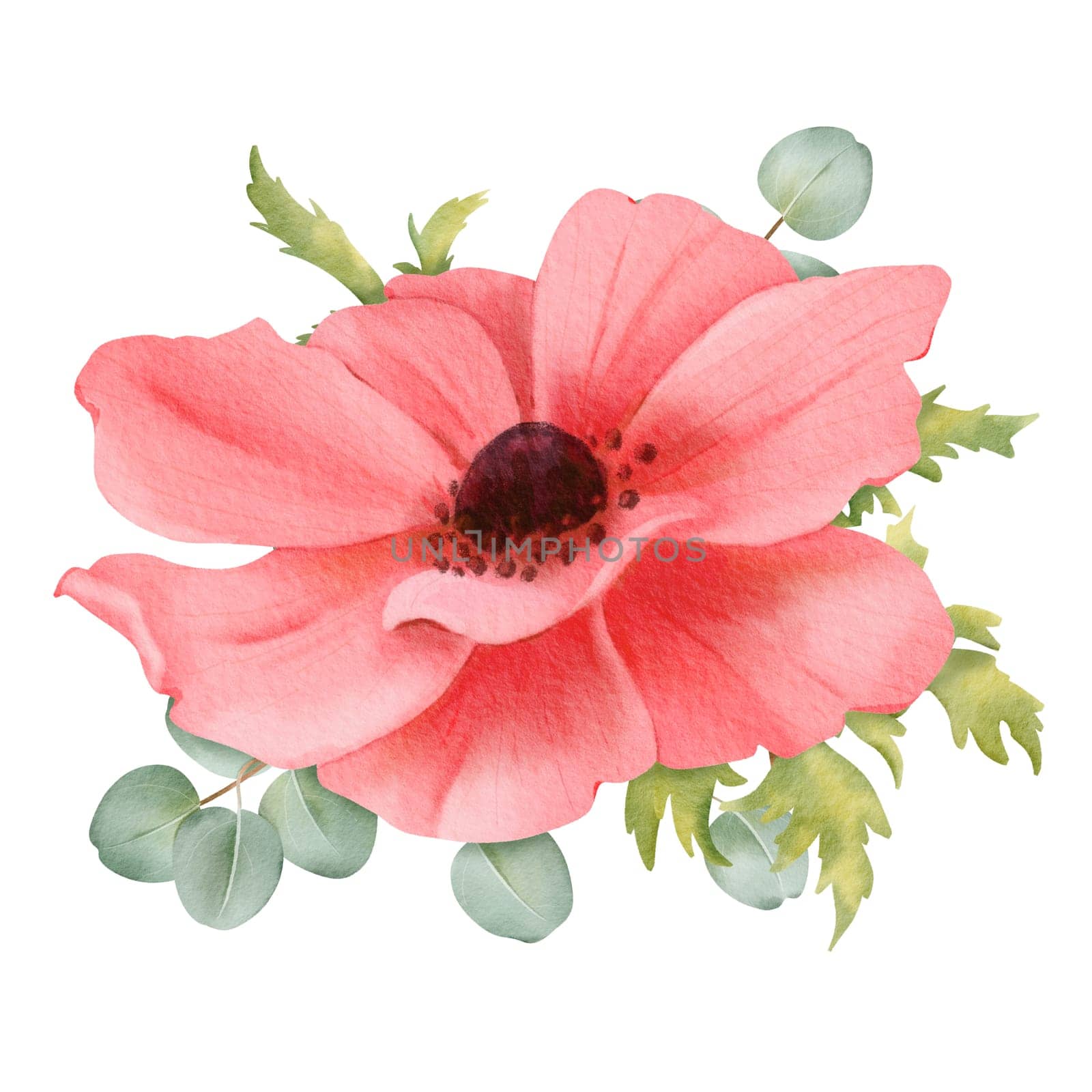 A watercolor floral composition featuring pink anemones, fresh greenery, and eucalyptus leaves. isolated object for use in design projects, wedding invitations, greeting cards or digital illustrations.