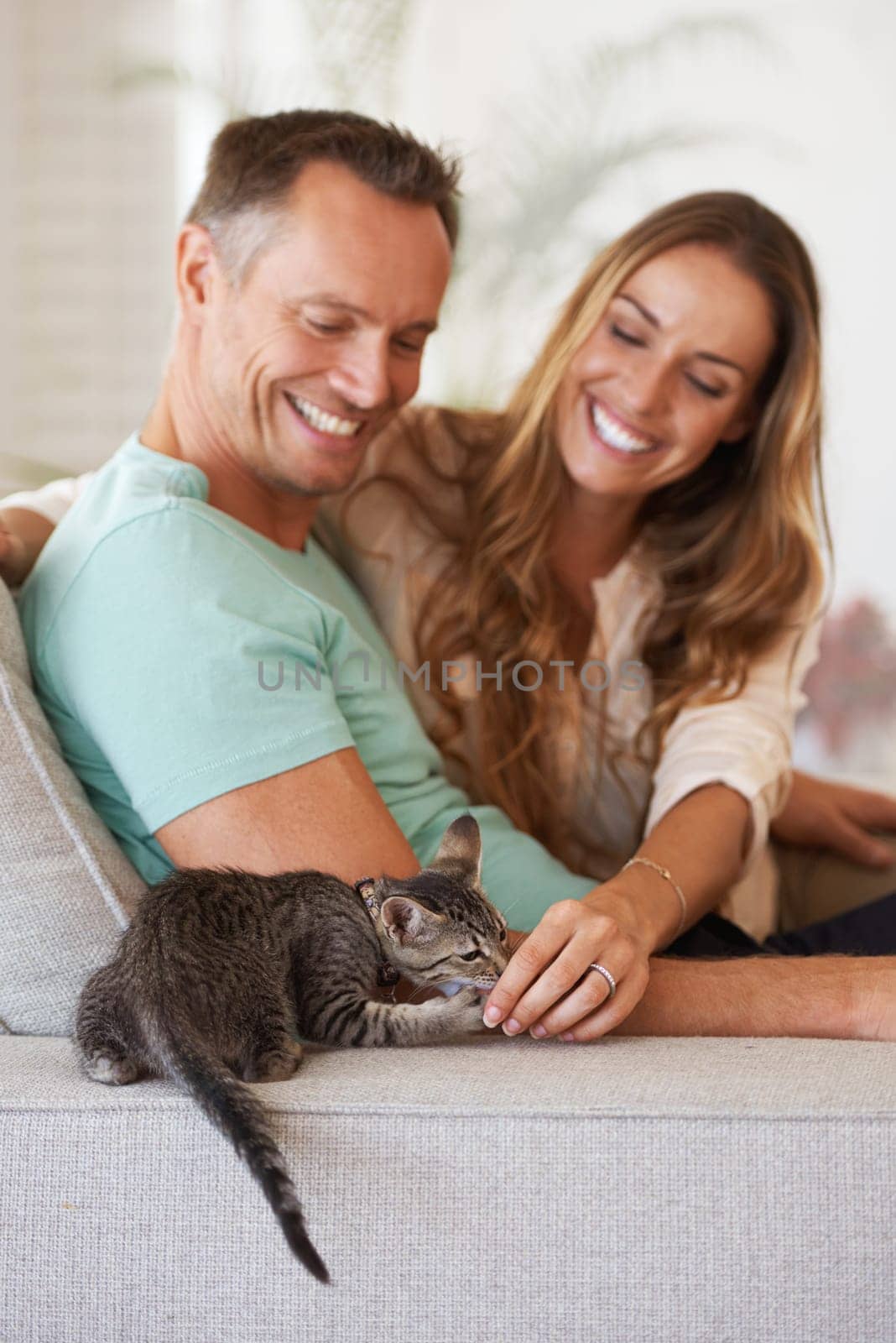 Man, woman and happiness with kitten and pet love, support and care with trust, playful and relax on sofa at family home. Couple with cat, kindness and affection with animal on couch for adoption by YuriArcurs