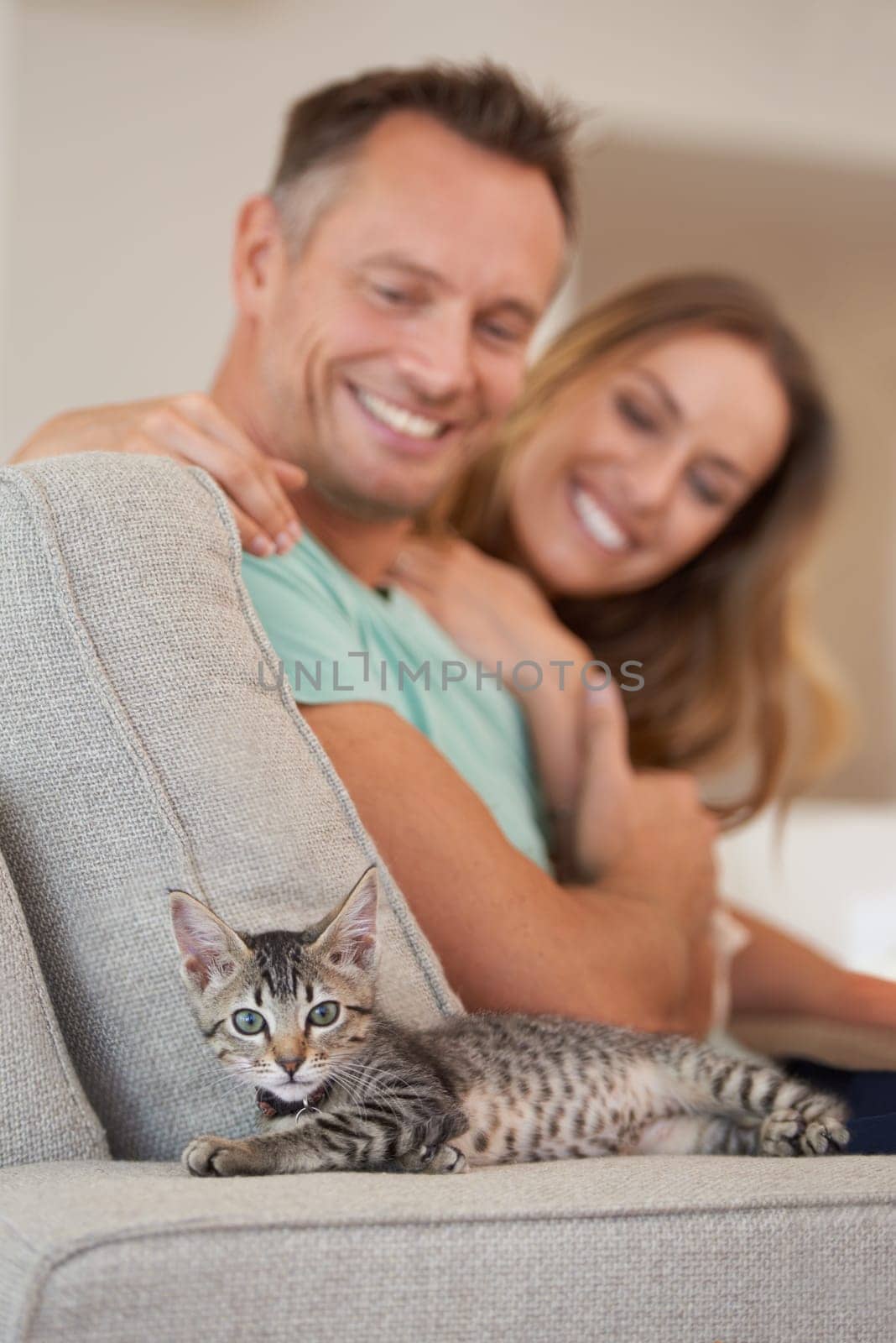 Man, woman and smile with kitten and pet love, support and care with trust, playful and relax on sofa at family home. Couple with baby cat, kindness and affection with animal on couch for adoption.