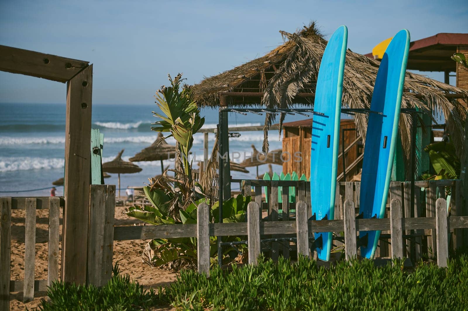 Horizontal shot of surfing boards on a tropical sandy beach, against the background of palm trees, straw parasols and beautiful sea with splashing waves. People. Nature. Extreme sport