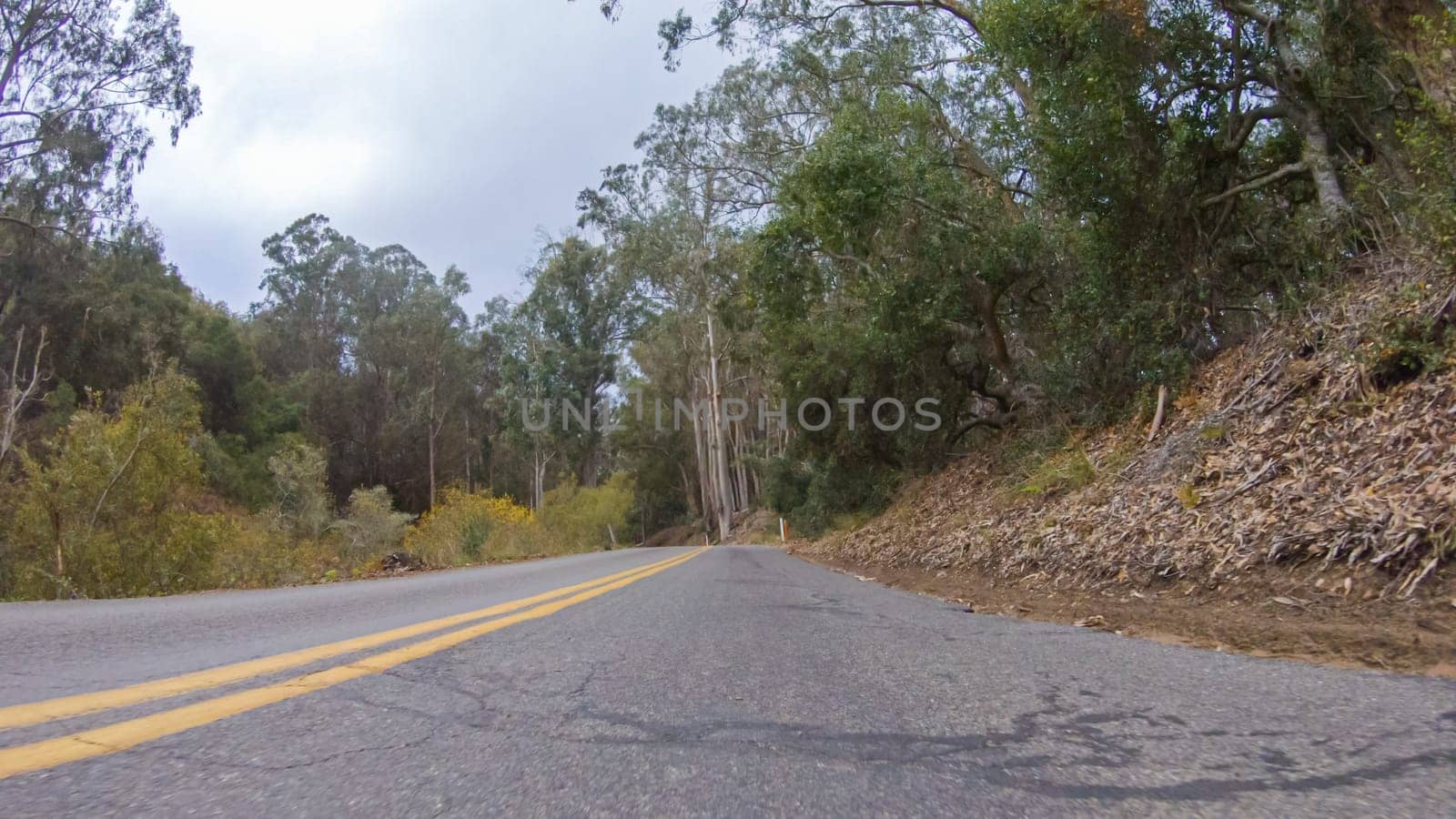 In this serene winter scene, a vehicle carefully makes its way along Los Osos Valley Road and Pecho Valley Road within Montana de Oro State Park.