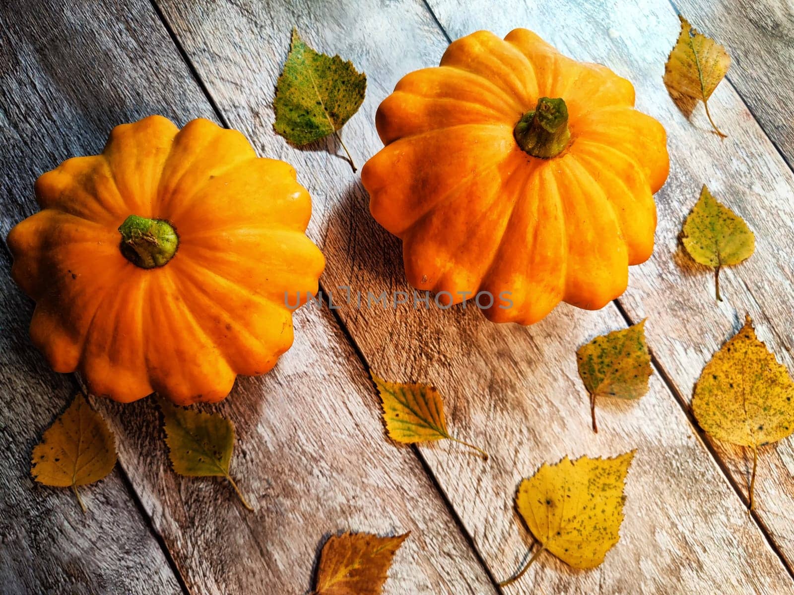 Yellow pattison on wooden boards of the table. Healthy Delicious Beautiful Vegetable in autumn. Abstract Background, texture, frame, place for text and copy space