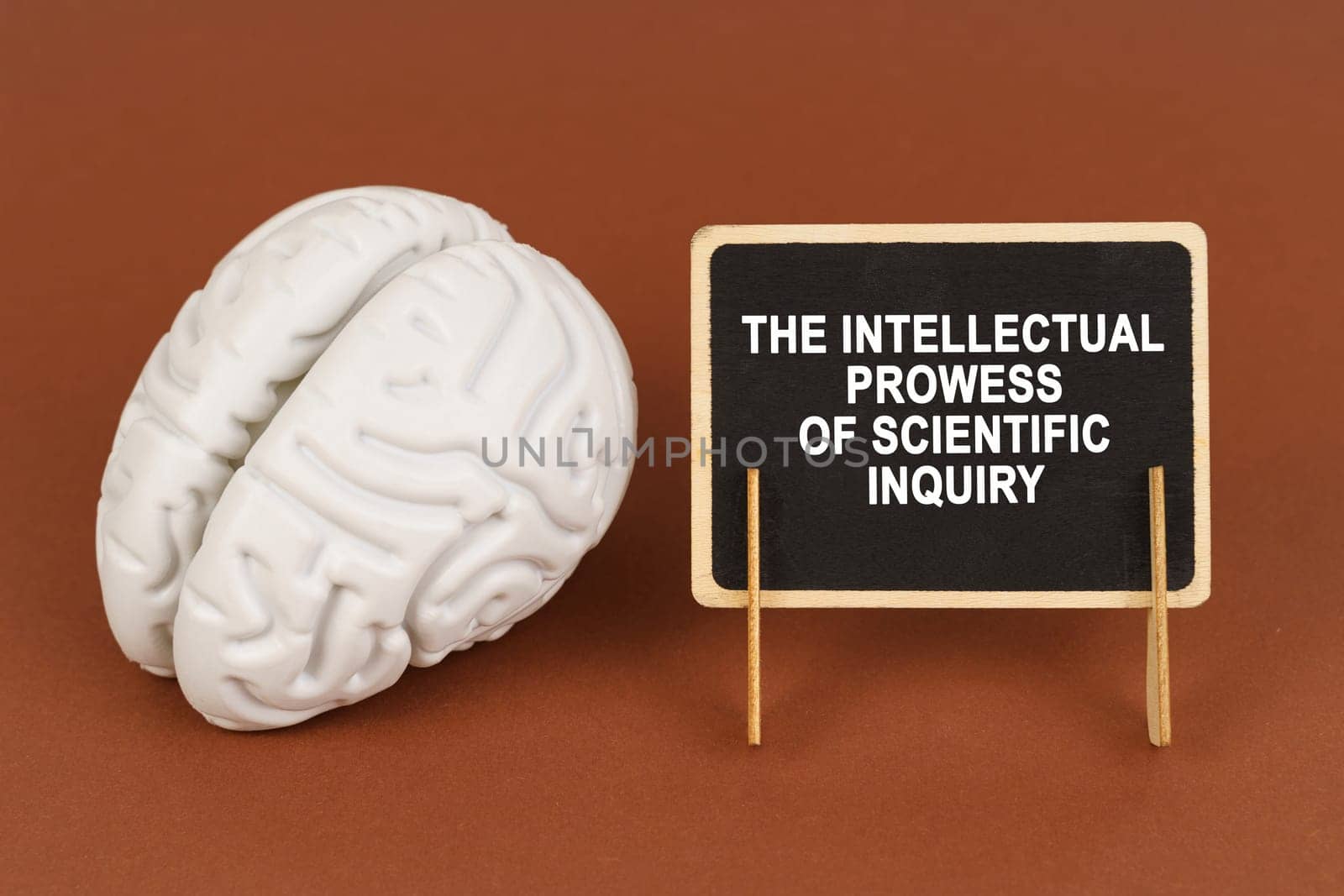 On a brown background, a model of the brain and a sign with the inscription - The intellectual prowess of scientific inquiry. Science and education concept.