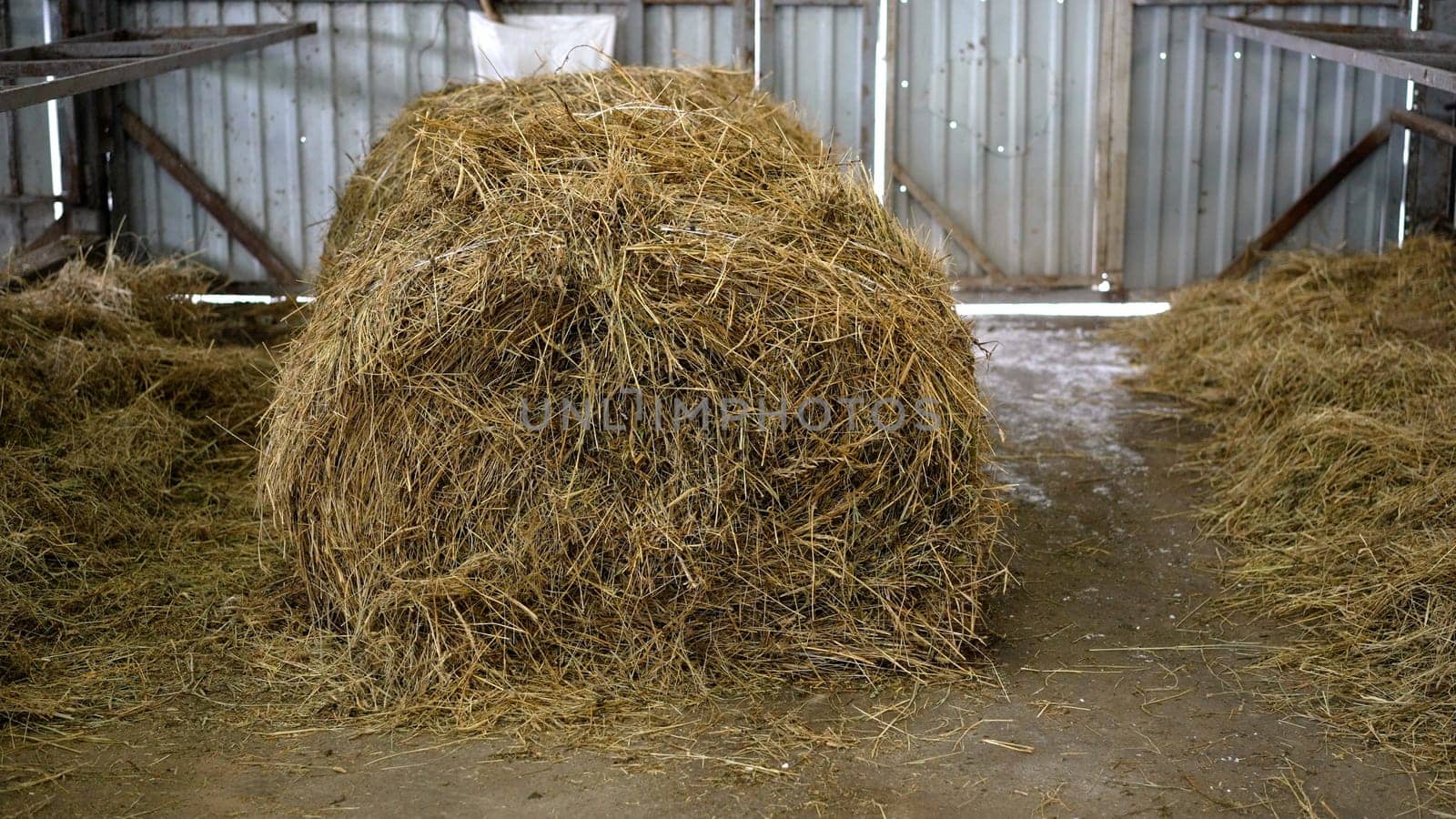 Hay in the barn for winter feeding. Hay is stored on a farm for agriculture, livestock feed, ranch or farm use. Straw for animals to eat in winter. by Rusrussid