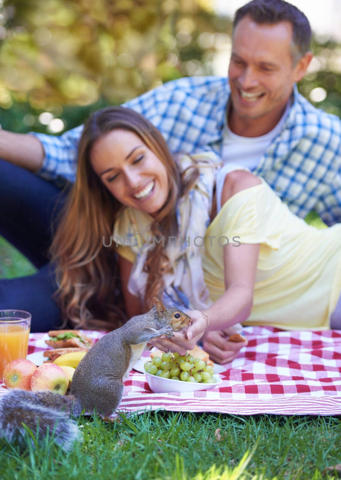 Couple, picnic and squirrel in outdoor nature, love and romance in relationship on weekend. Mature man, woman and people on date in countryside, smile and adventure in forest or happy on vacation.