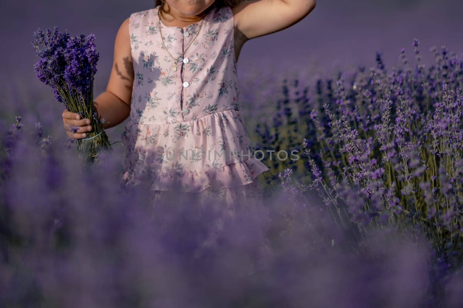 girl lavender field in a pink dress holds a bouquet of lavender on a lilac field. Aromatherapy concept, lavender oil, photo shoot in lavender by Matiunina
