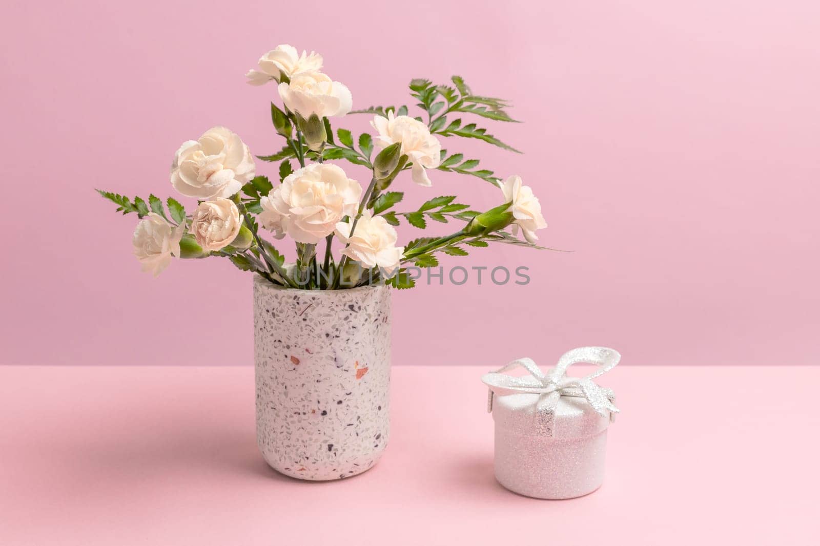 Bouquet of white carnations in a vase and a gift box on the pink background.