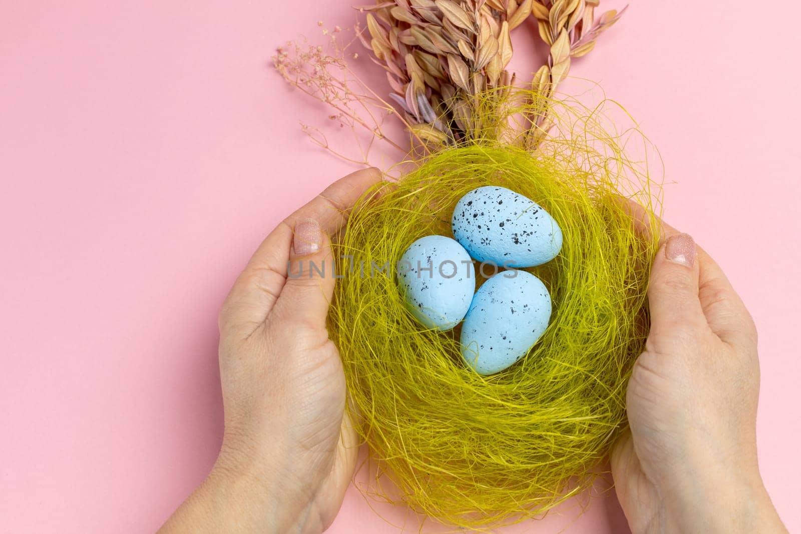 Woman holding the nest with colored Easter eggs on the pink background. Top view.