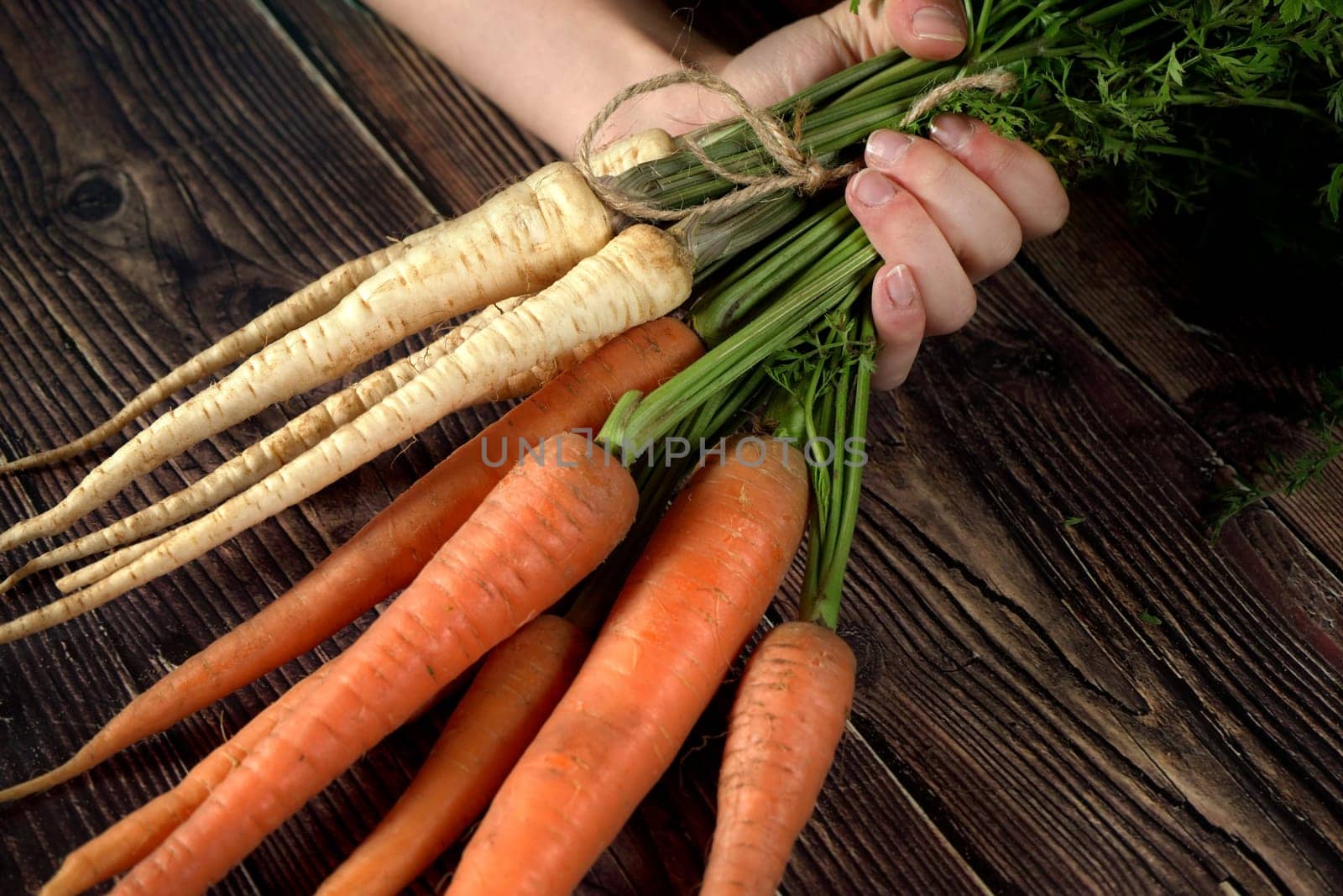 Hand holding bunch of carrots and parsnip roots over brown rustic wooden board