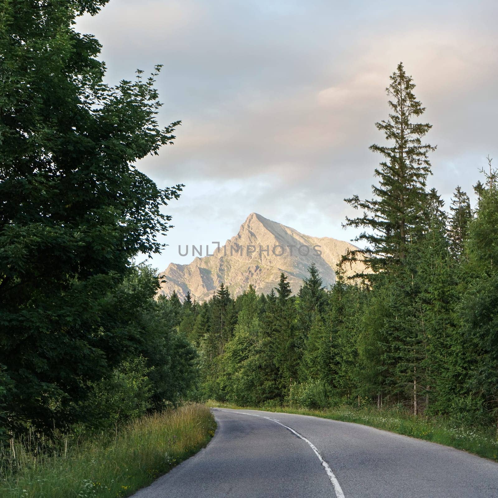 Forest asphalt road curve, coniferous trees and grass on both sides, mount Krivan peak (symbol of Slovakia) with sunset sky above in distance by Ivanko