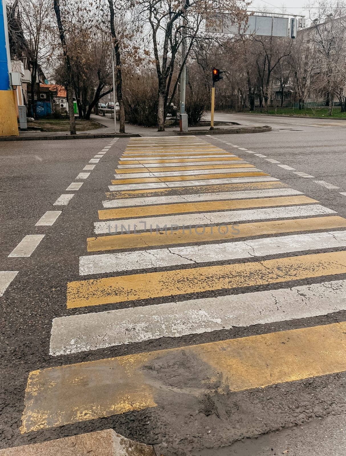 pedestrian crossing at the crossroads in spring.