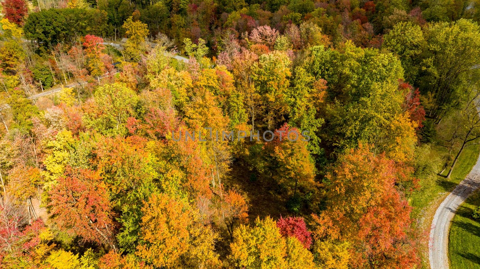 An Aerial View of a Colorful Autumn Forest on a Sunny Fall Day