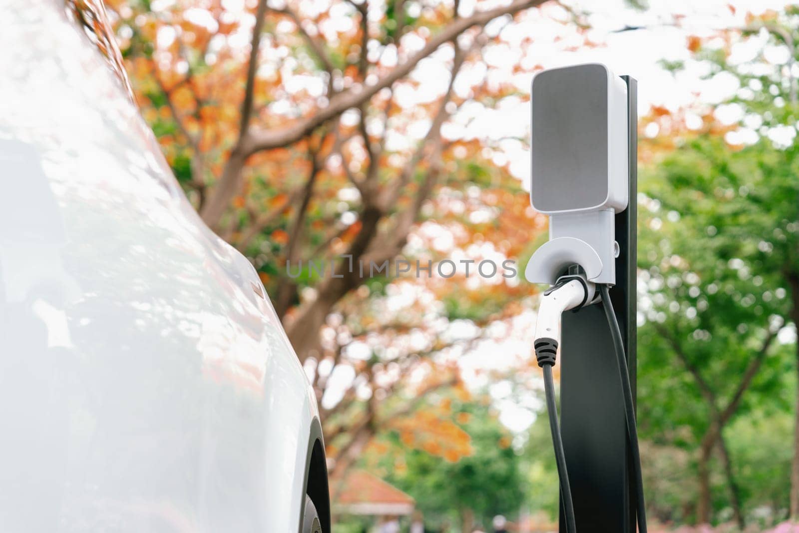 EV electric vehicle recharging battery from EV charging station in national park or outdoor autumn forest scenic. Natural protection with eco friendly EV car travel in the autumnal orange woods. Exalt