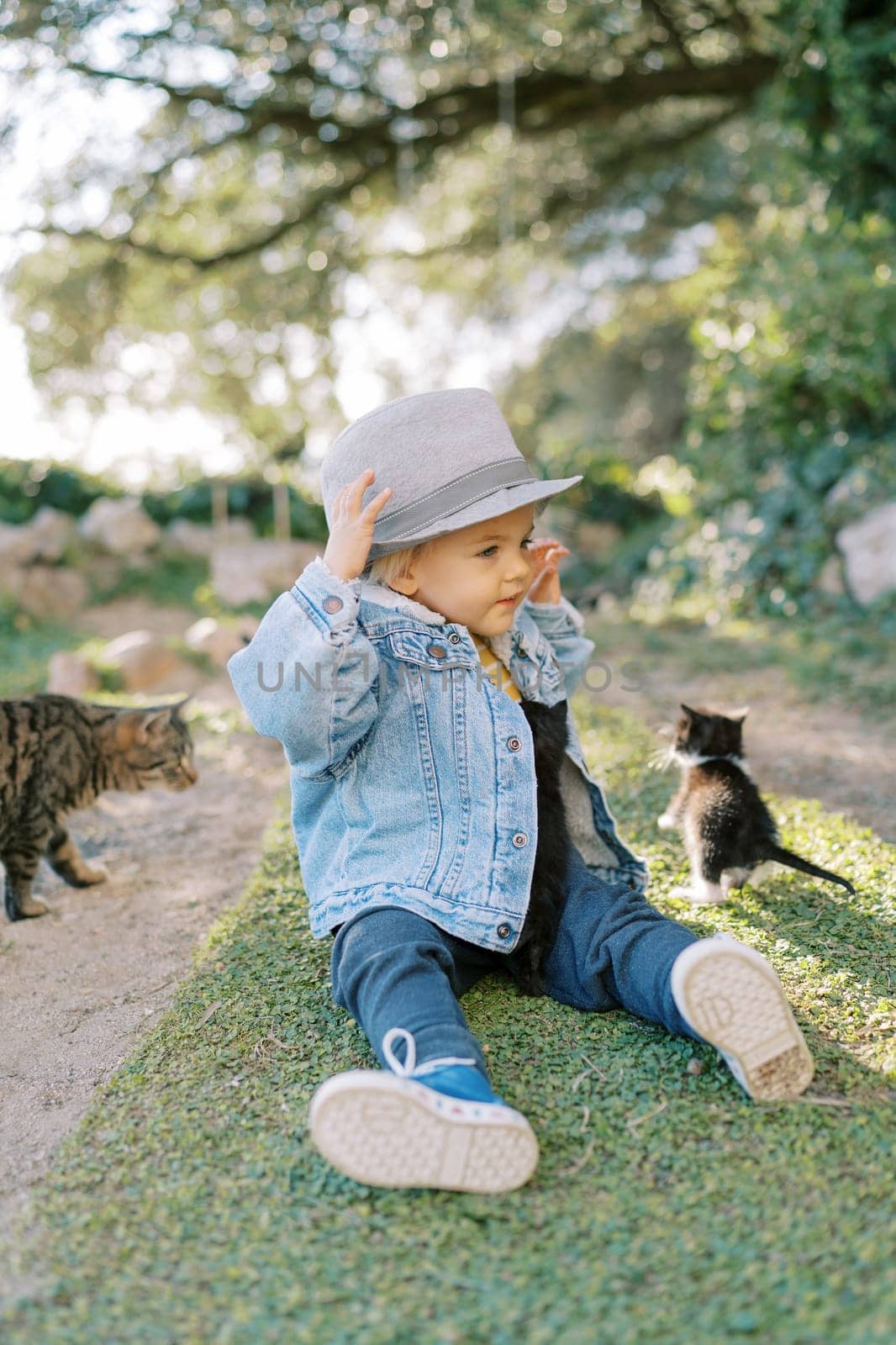 Little girl in a hat sits on green grass near a kitten and a cat by Nadtochiy