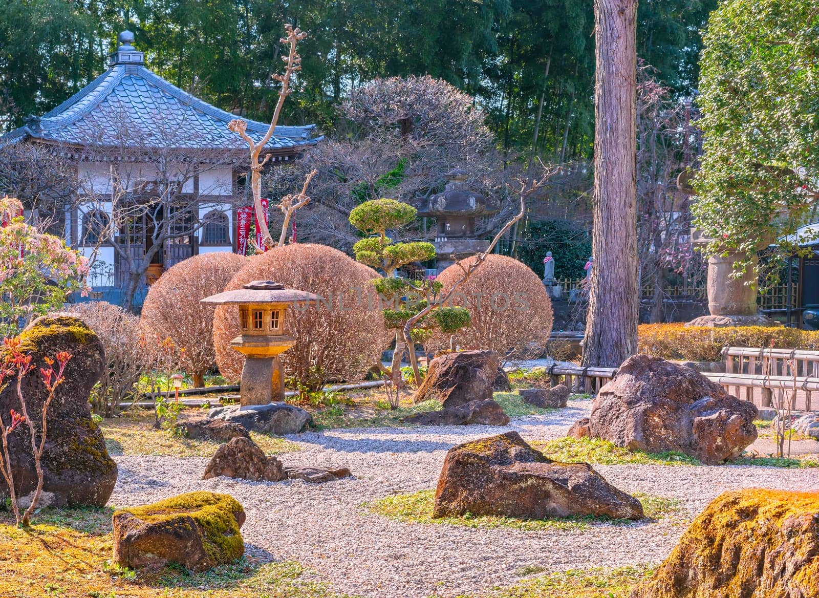 saitama, chichibu - mar 26 2023: Traditional Japanese karesansui dry garden adorned with moss covered rocks and ball shaped shrubs in front of the Akibadō hall of buddhist Chosen-in Buddhist temple.