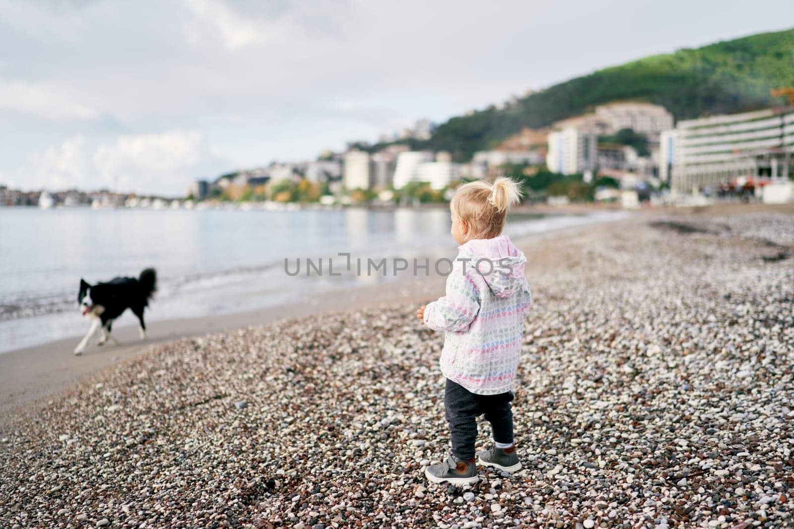 Little girl stands on the beach and looks at a dog running along the sea. Back view. High quality photo
