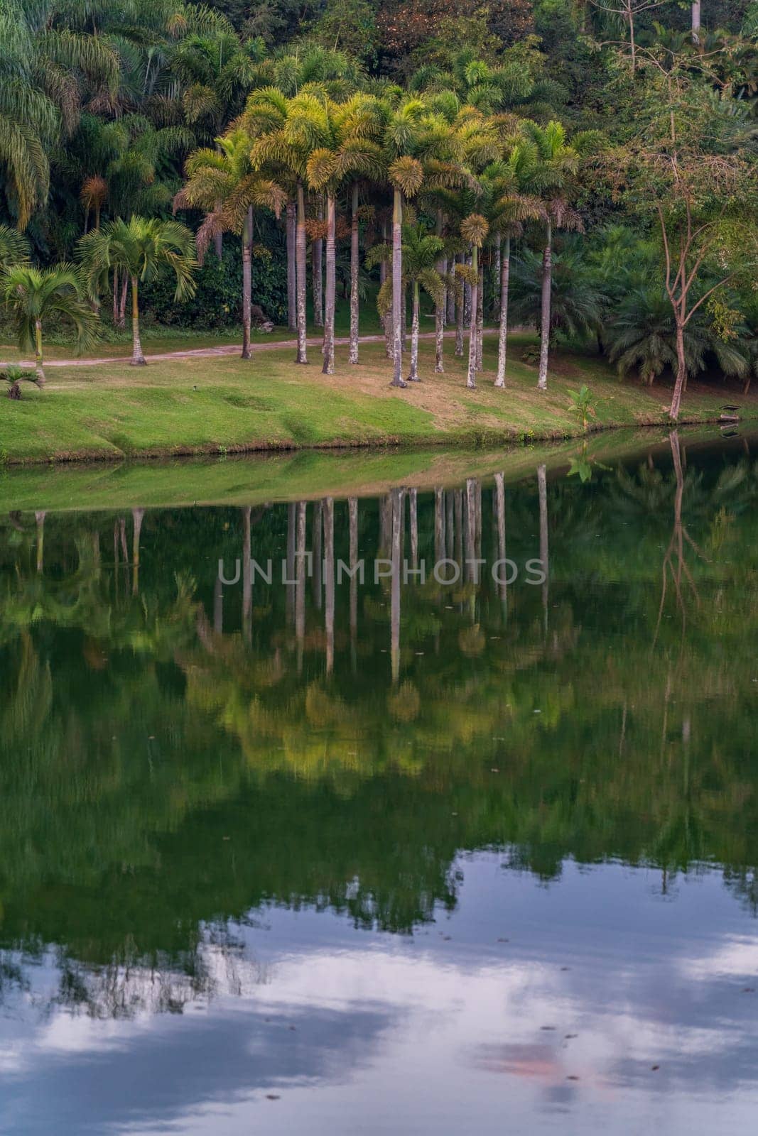 Tropical scene with calm waters reflecting palm trees.